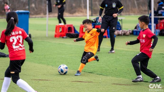 开云体育官网-新河镇 “迎新杯” 青少年足球赛鸣金,根宝基地小将首夺冠军